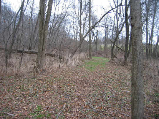 9000 East Felts Road Davis, IL 61019 - Photo 4 of 6 a backyard of a house with lots of green space