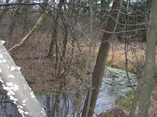 9000 East Felts Road Davis, IL 61019 - Photo 5 of 6 a backyard of a house with lots of green space