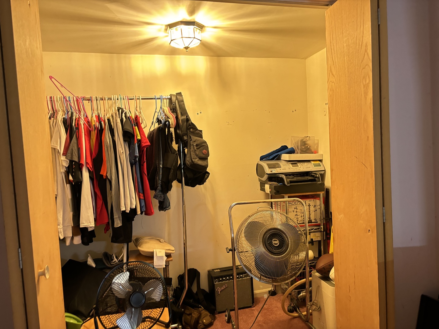 545 East 86th Street Chicago, IL 60619 - Photo 14 of 22 a view of walk in closet with clothes and shoes