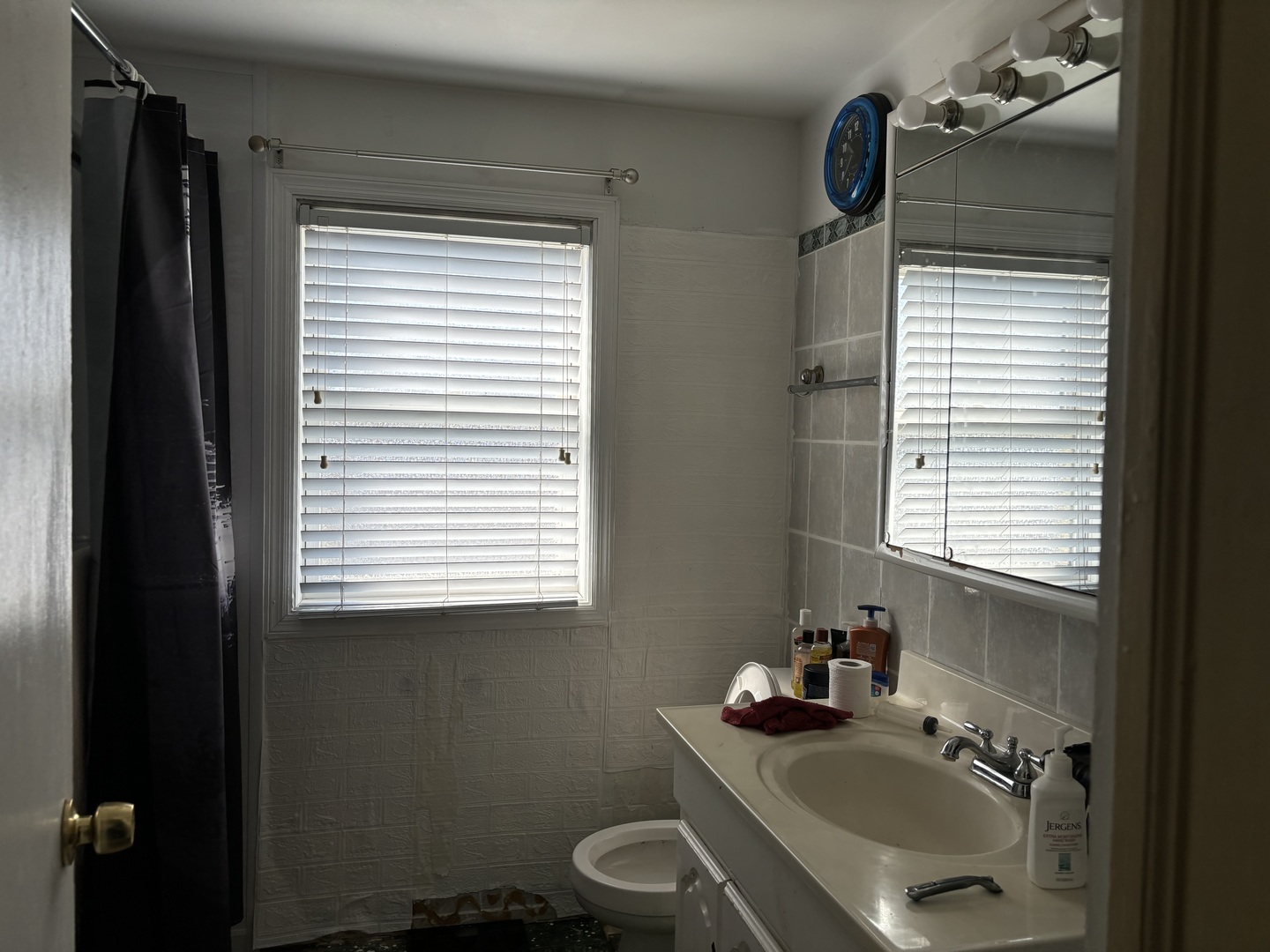 545 East 86th Street Chicago, IL 60619 - Photo 20 of 22 a bathroom with a sink toilet and a mirror