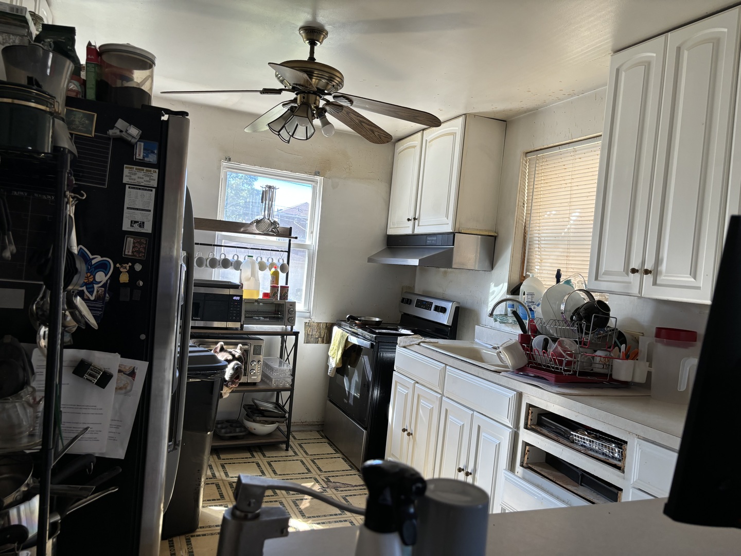 545 East 86th Street Chicago, IL 60619 - Photo 7 of 22