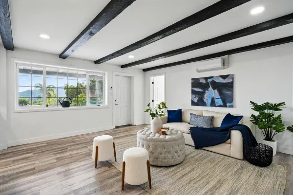 a living room with furniture and a potted plant
