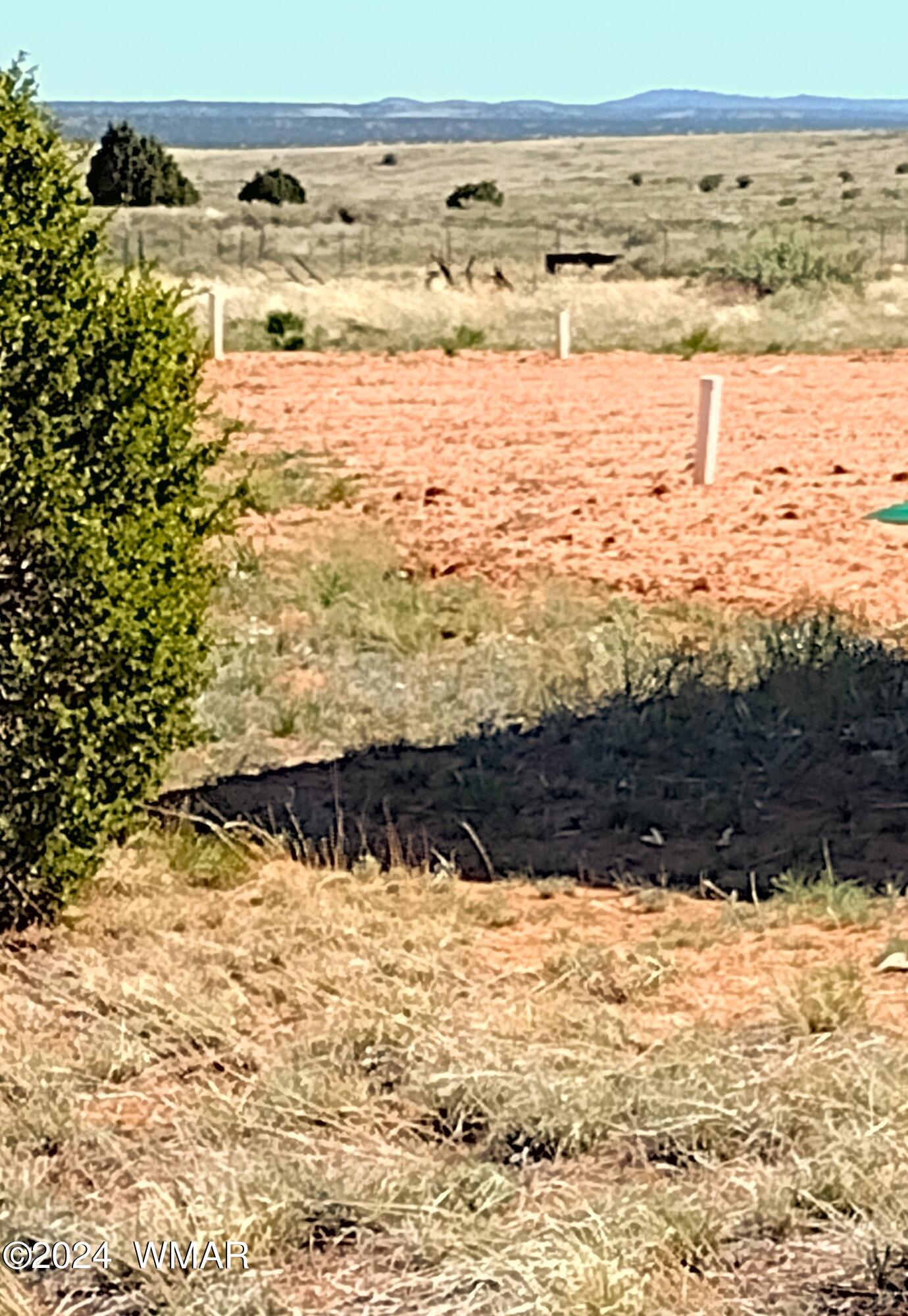5577 Az Route 277 Heber, AZ 85928 - Photo 1 of 6