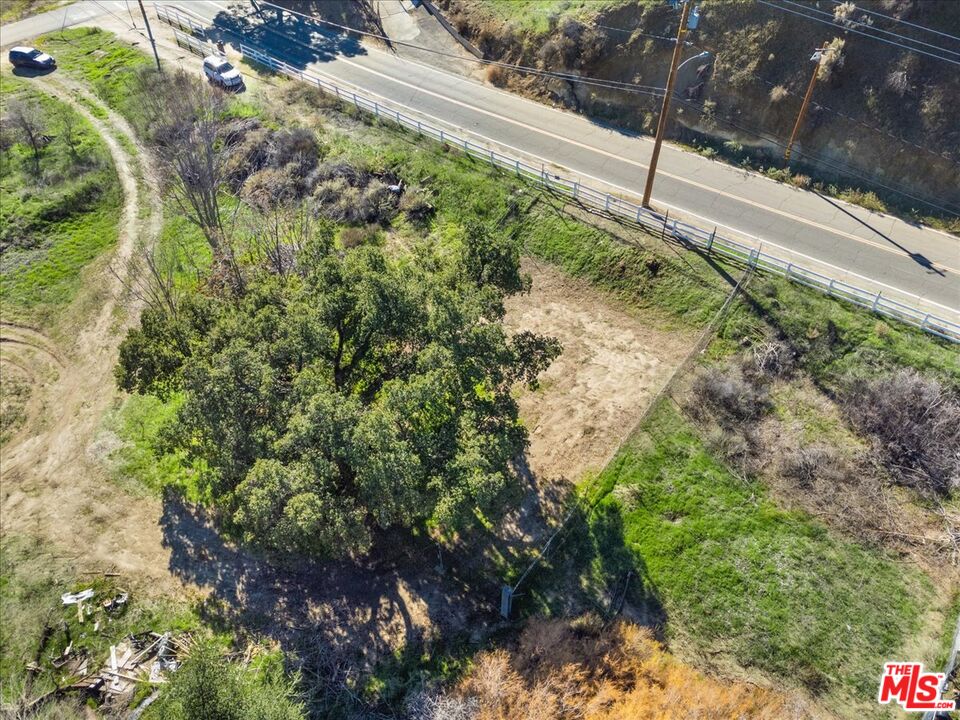 0 Johnson Avenue Val Verde, CA 91384 - Photo 4 of 11 a view of a garden with a tree