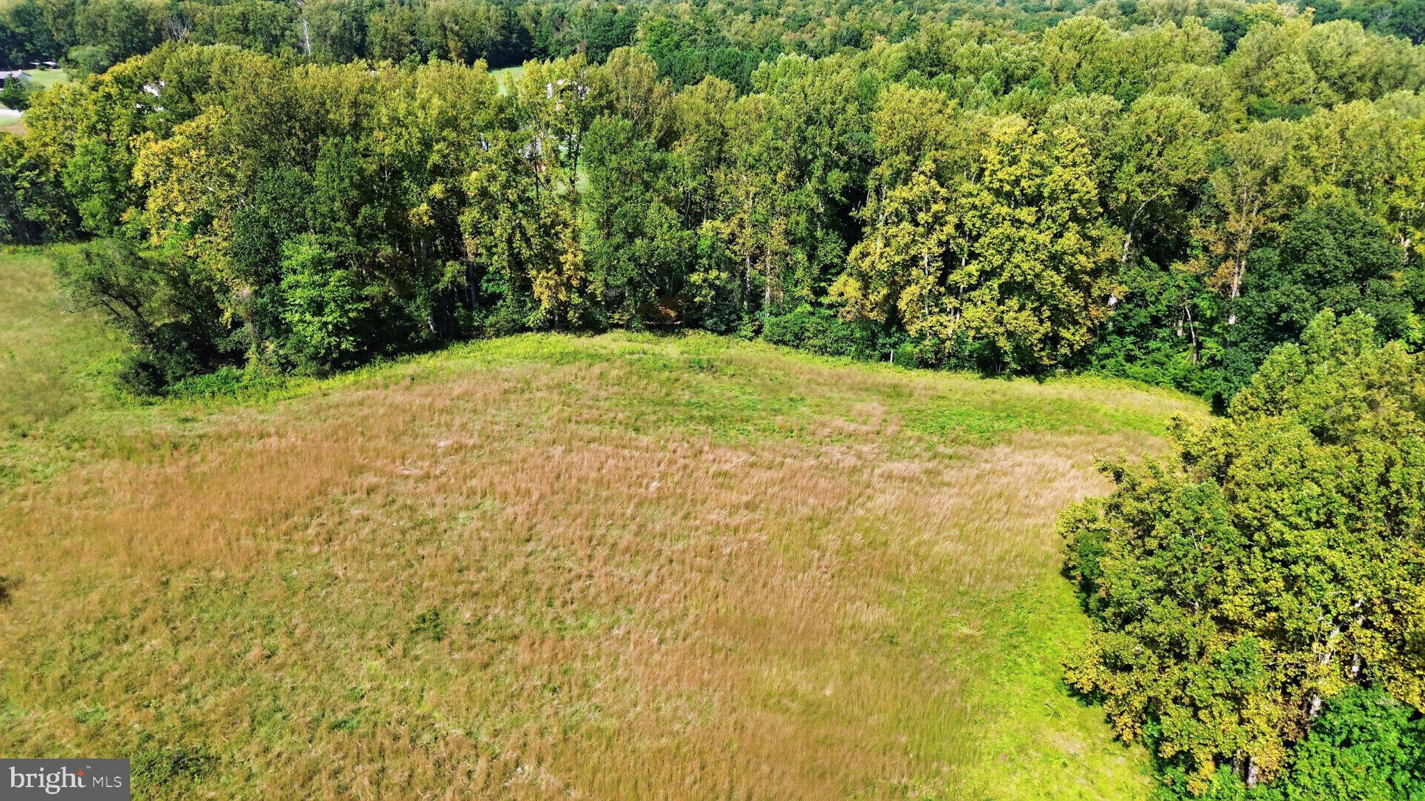 17207 Magruders Ferry Road Brandywine, MD 20613 - Photo 10 of 11 Gallery Image 10