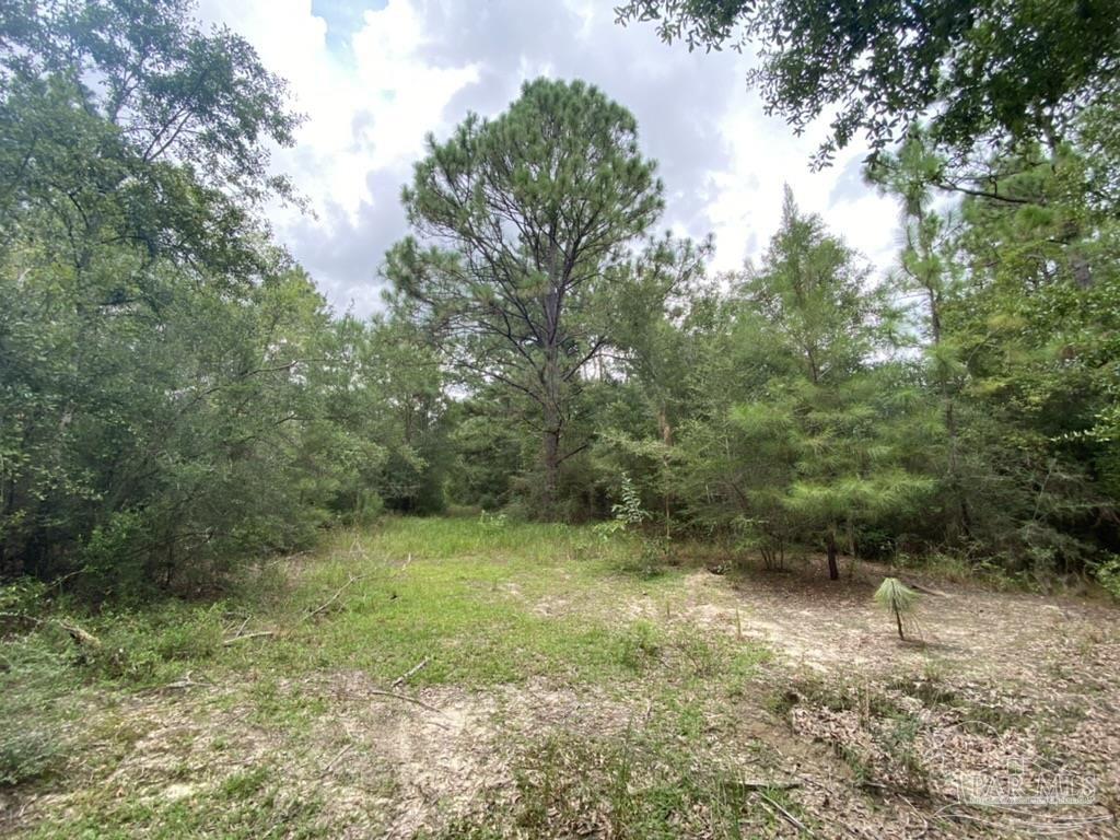 1877 Parker Road Cantonment, FL 32533 - Photo 1 of 50