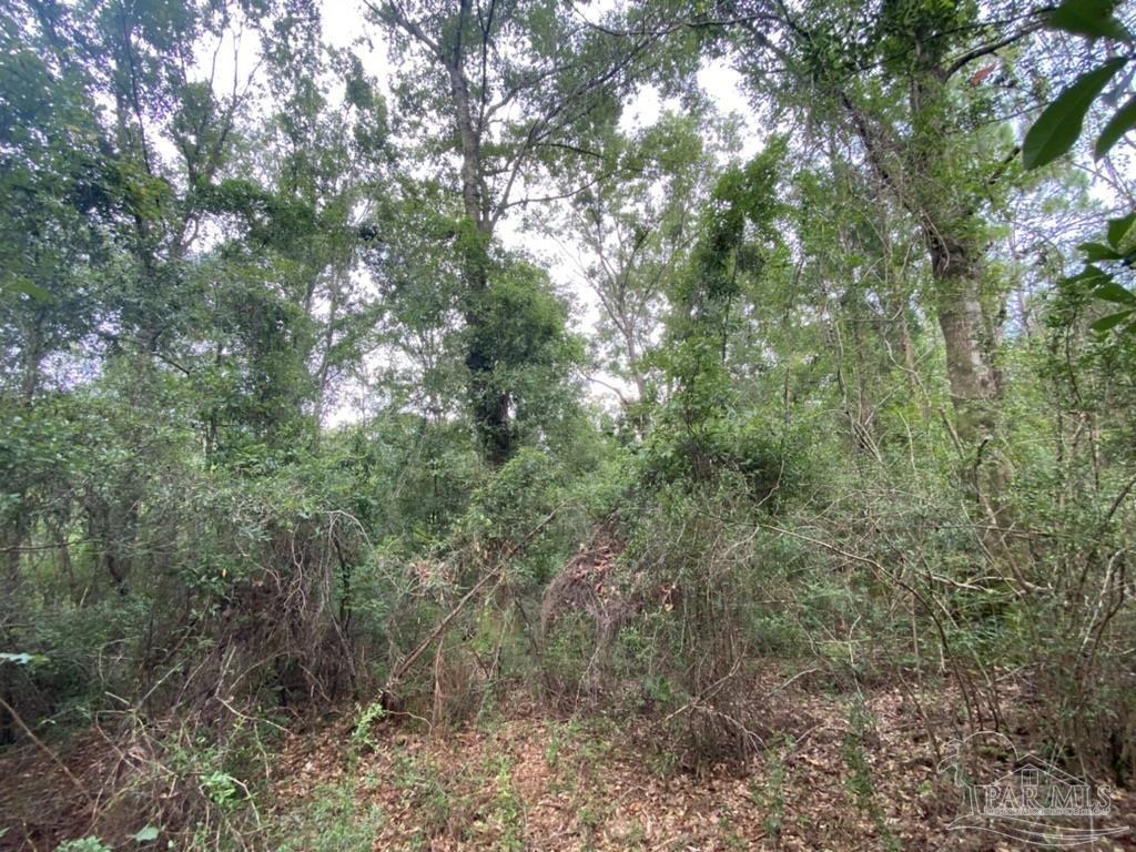 1877 Parker Road Cantonment, FL 32533 - Photo 28 of 50
