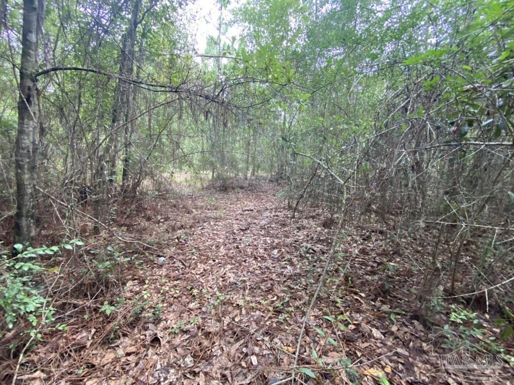 1877 Parker Road Cantonment, FL 32533 - Photo 29 of 50