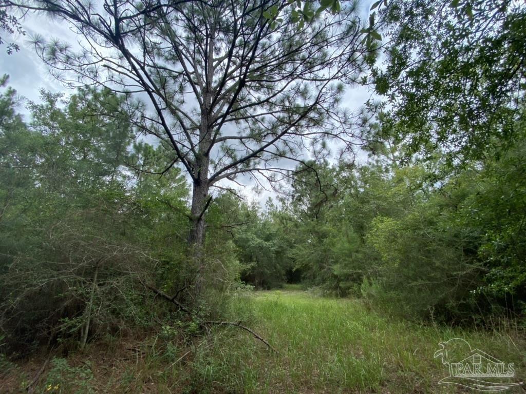 1877 Parker Road Cantonment, FL 32533 - Photo 30 of 50