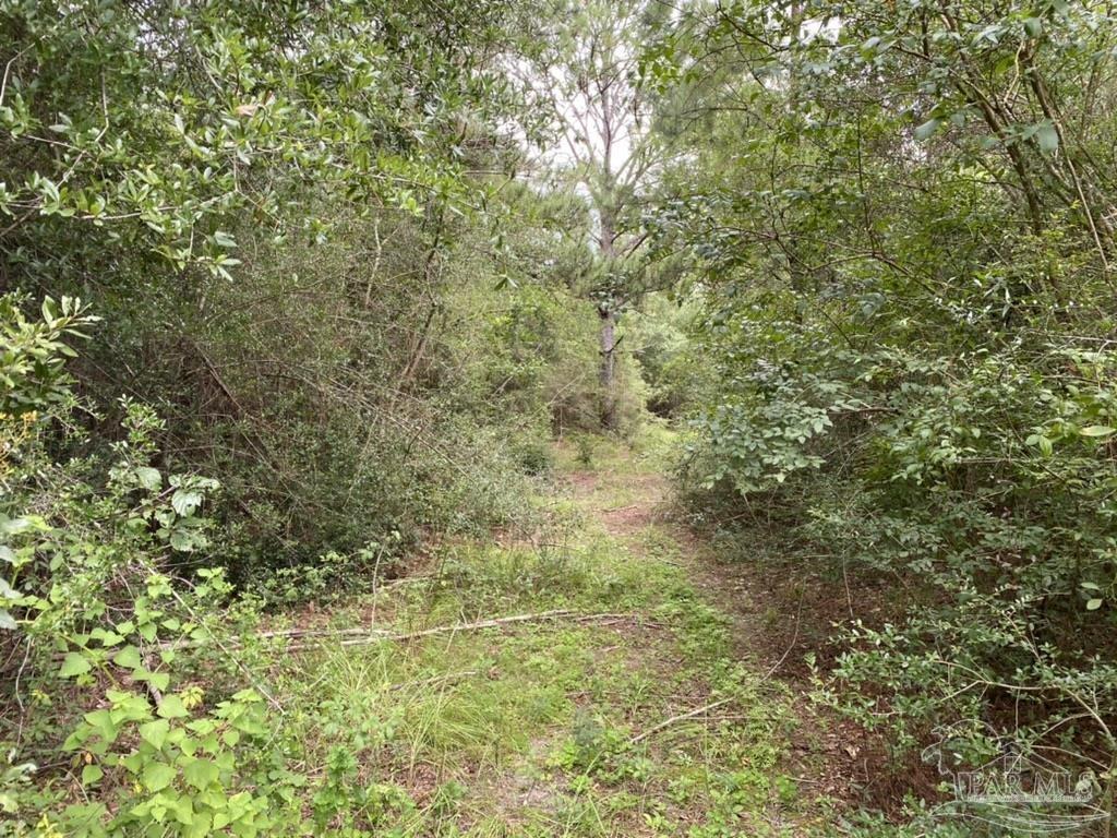 1877 Parker Road Cantonment, FL 32533 - Photo 31 of 50