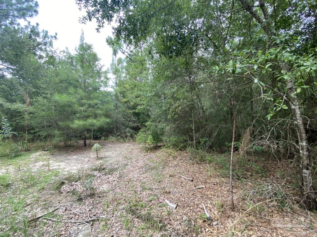 1877 Parker Road Cantonment, FL 32533 - Photo 34 of 50