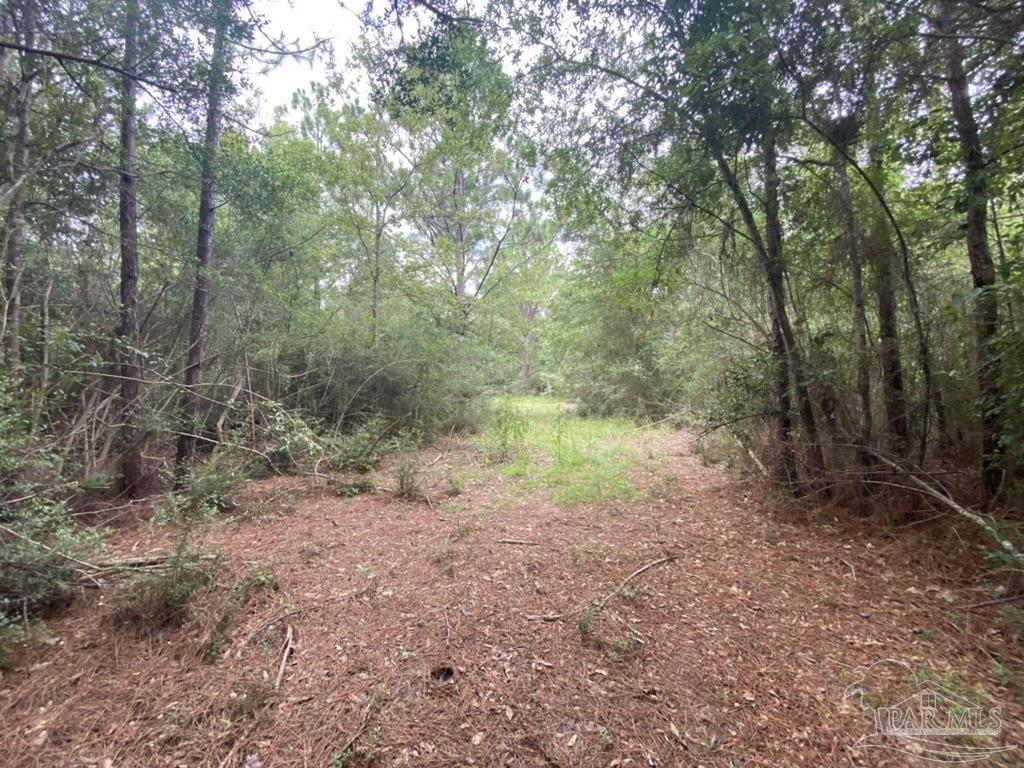 1877 Parker Road Cantonment, FL 32533 - Photo 35 of 50