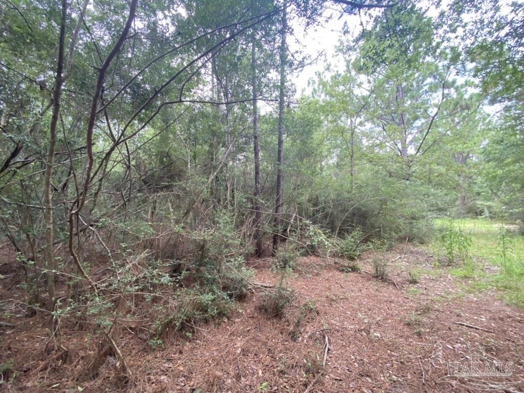 1877 Parker Road Cantonment, FL 32533 - Photo 36 of 50