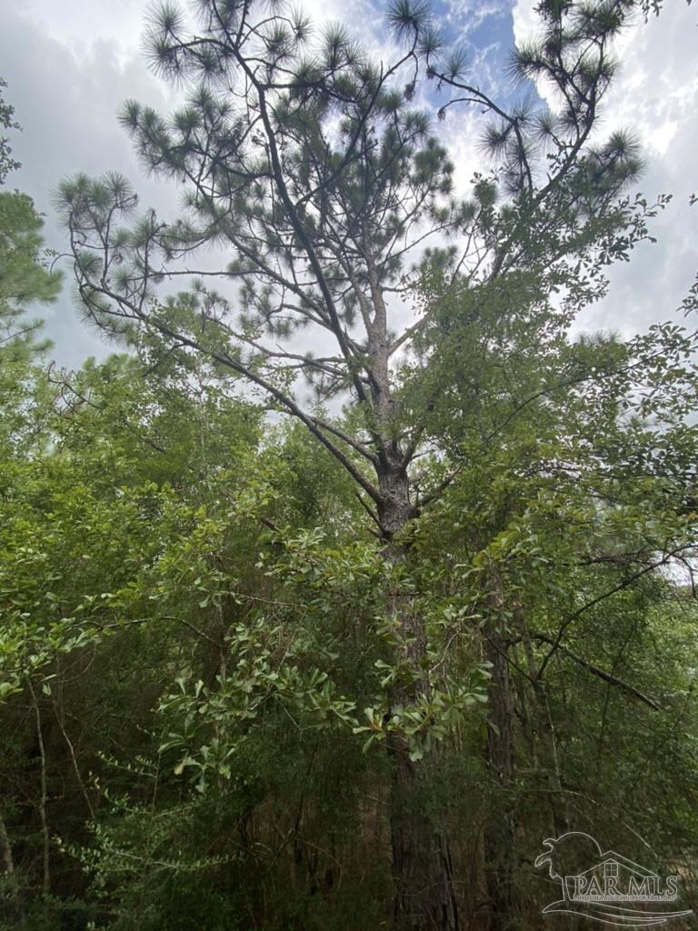 1877 Parker Road Cantonment, FL 32533 - Photo 39 of 50