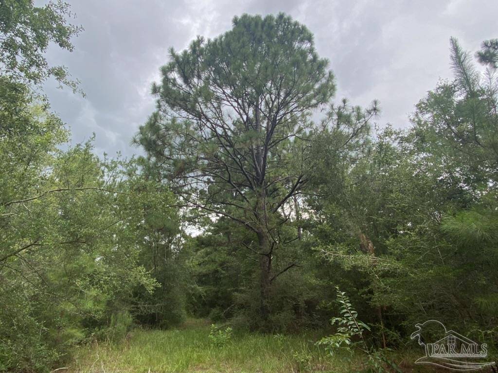 1877 Parker Road Cantonment, FL 32533 - Photo 40 of 50