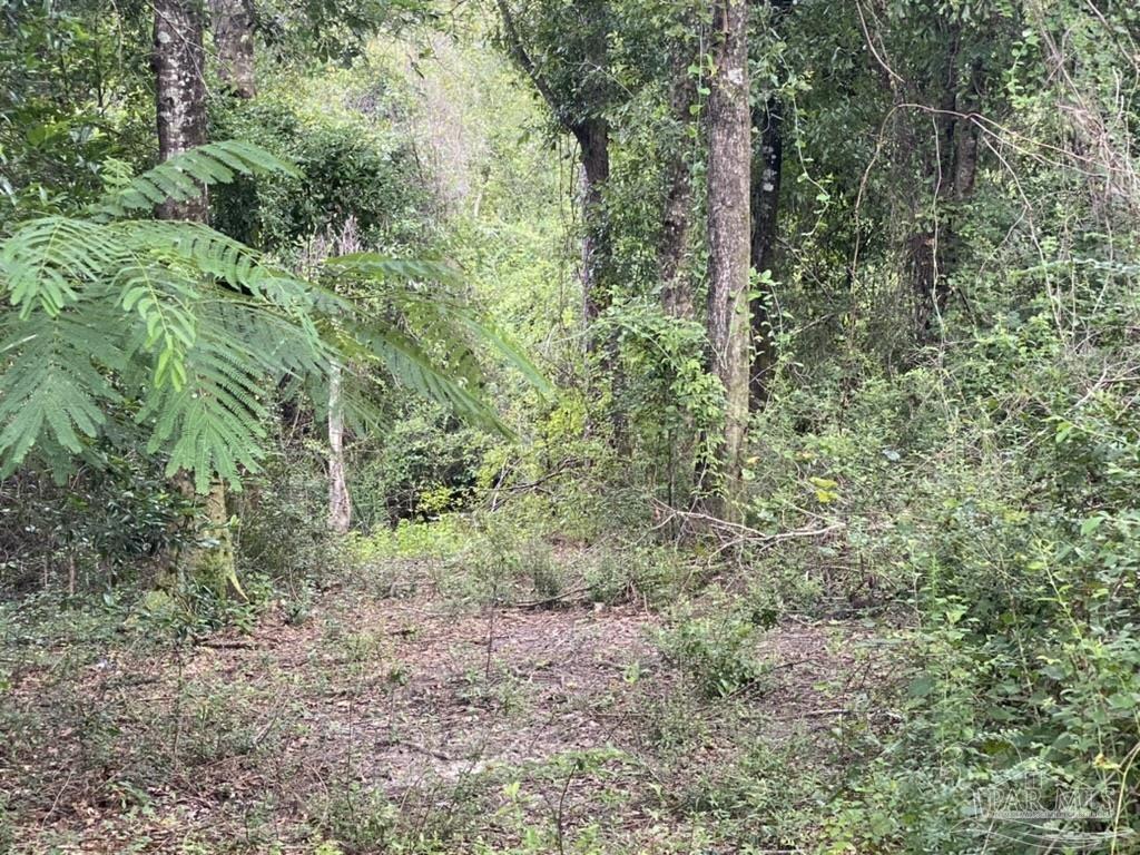 1877 Parker Road Cantonment, FL 32533 - Photo 41 of 50