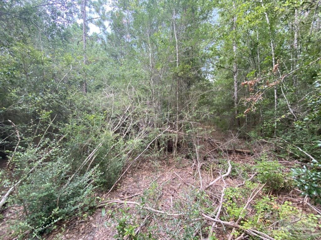 1877 Parker Road Cantonment, FL 32533 - Photo 42 of 50