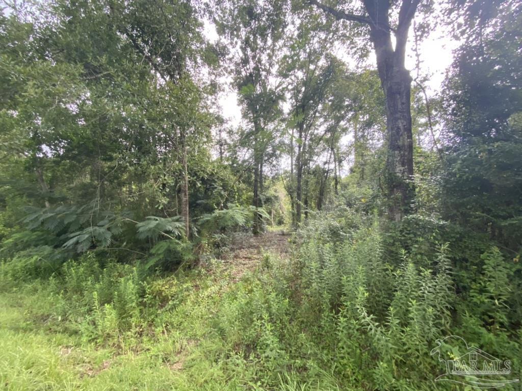 1877 Parker Road Cantonment, FL 32533 - Photo 44 of 50