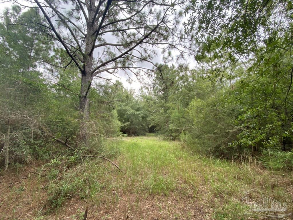 1877 Parker Road Cantonment, FL 32533 - Photo 45 of 50