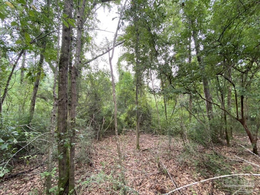 1877 Parker Road Cantonment, FL 32533 - Photo 6 of 50