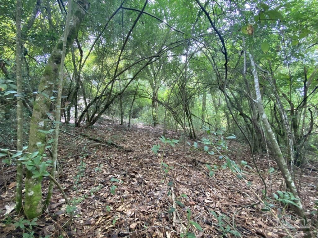 1877 Parker Road Cantonment, FL 32533 - Photo 8 of 50