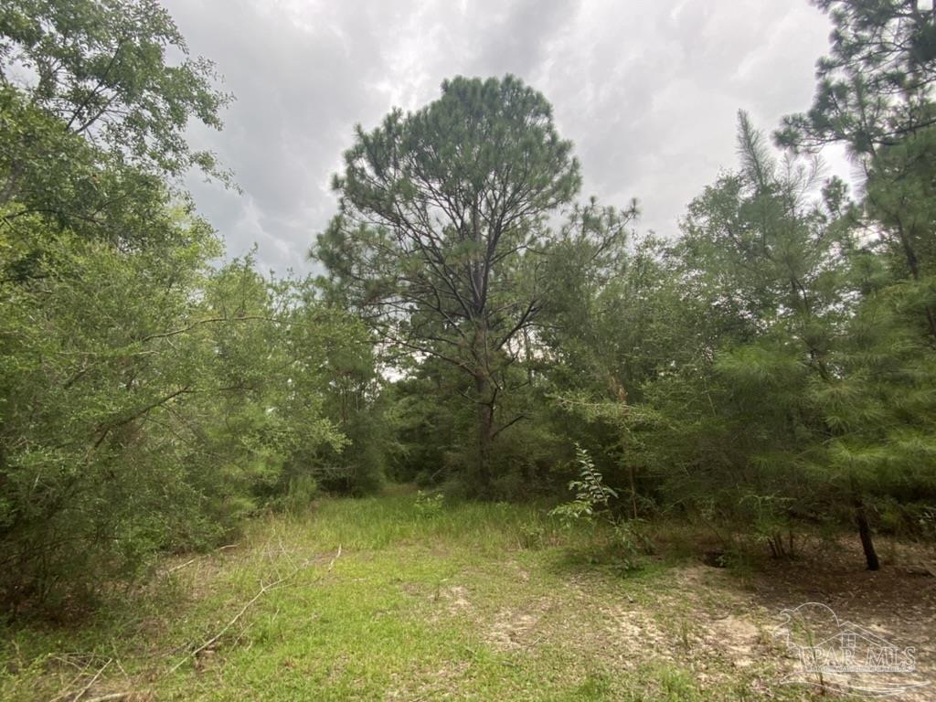 1877 Parker Road Cantonment, FL 32533 - Photo 9 of 50