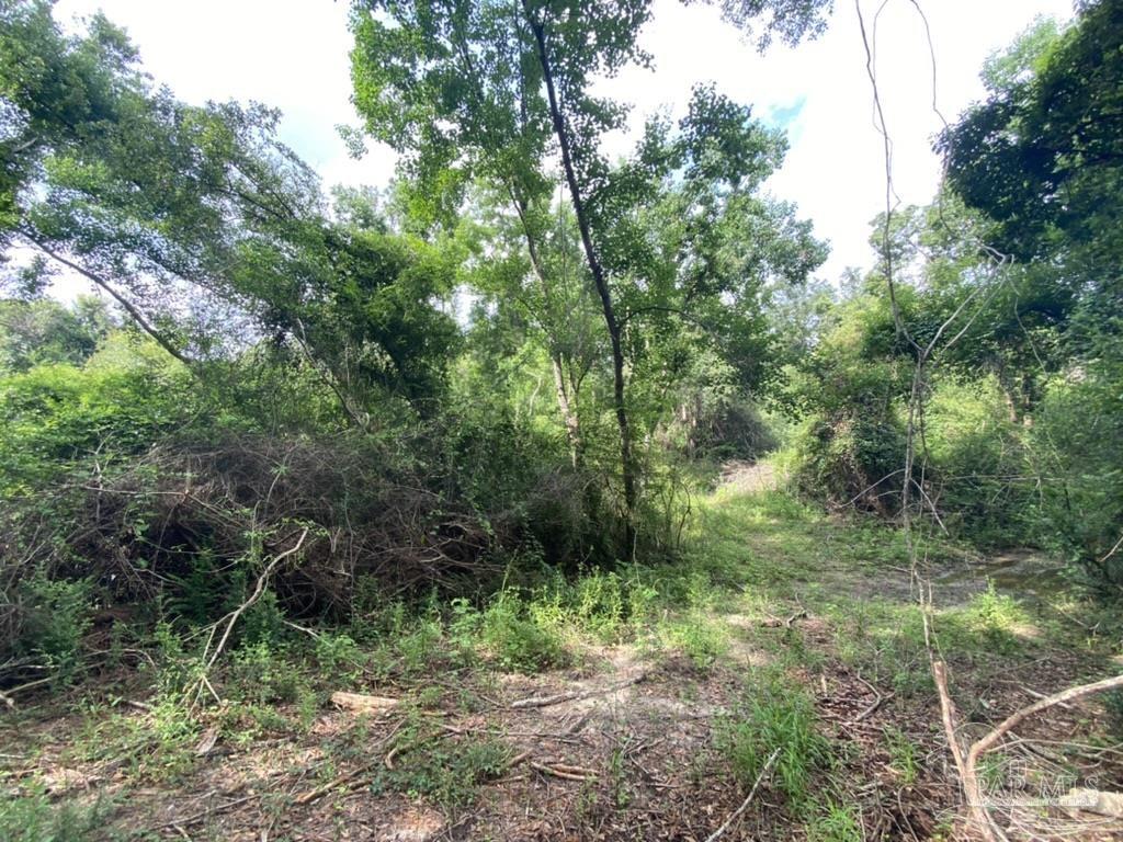 1877 Parker Road Cantonment, FL 32533 - Photo 10 of 50