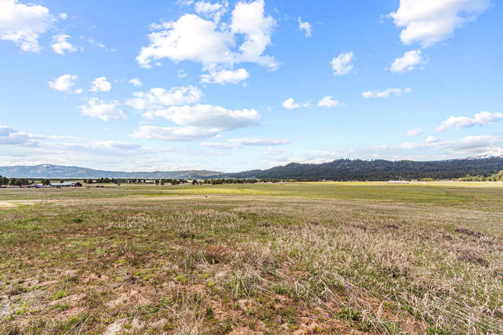 32 Philadelphia Lane, Unit 9 Cascade, ID 83611 - Photo 10 of 15 Useable Land