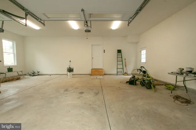 a view of a garden with a tree