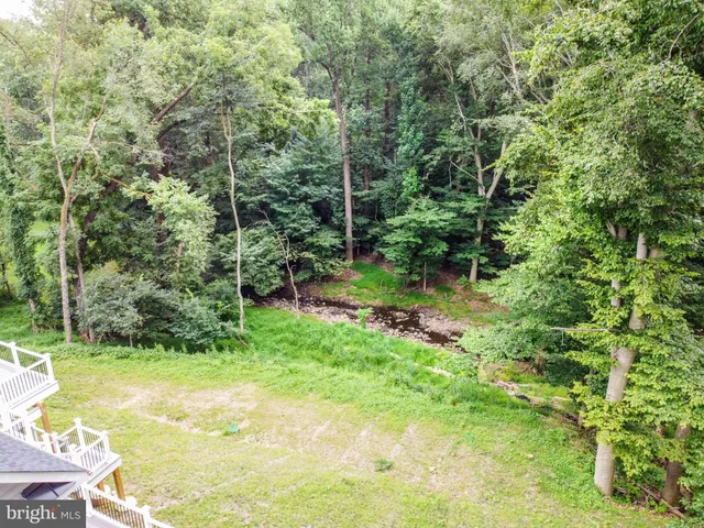 a view of a garden with a tree
