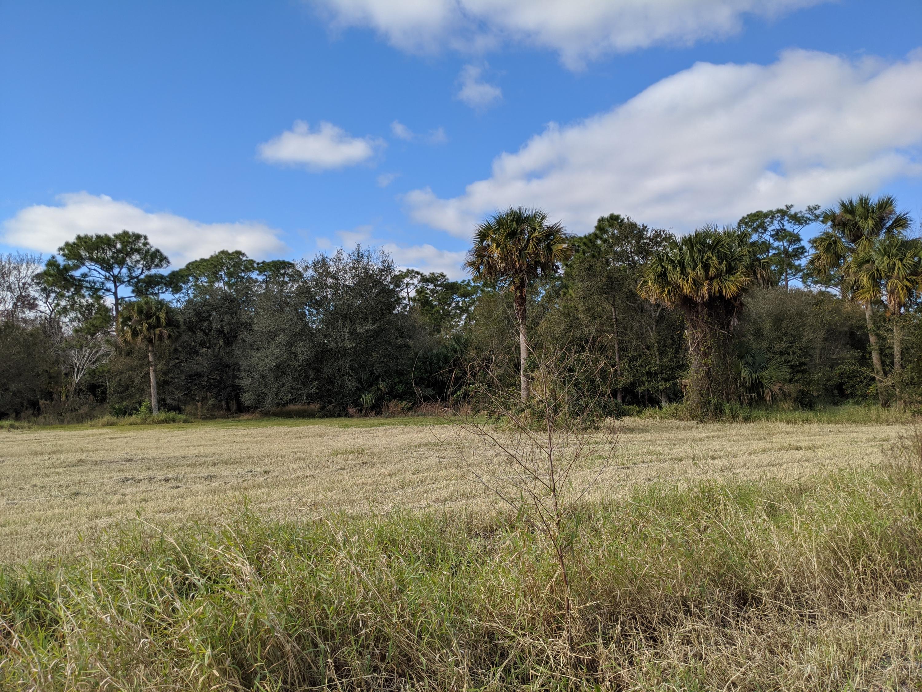 7851 Southwest Fox Brown Road Indiantown, FL 34956 - Photo 24 of 67 IMG_20210109_112712