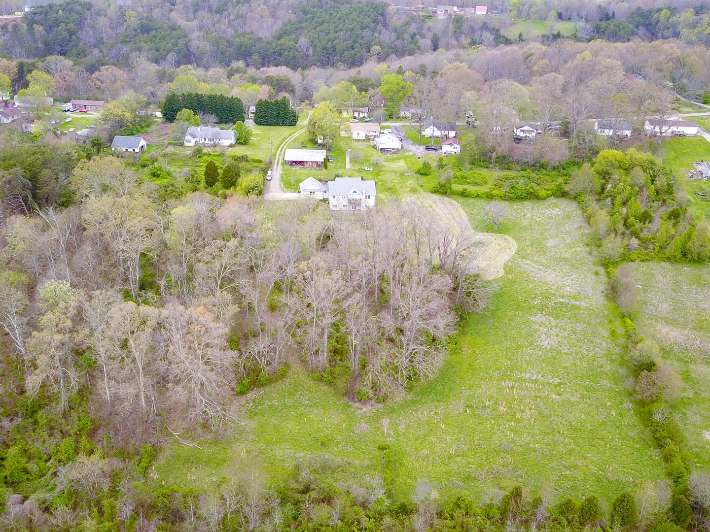 3941 Big Springs Ridge Road Friendsville, TN 37737 - Photo 7 of 38 a view of a flower