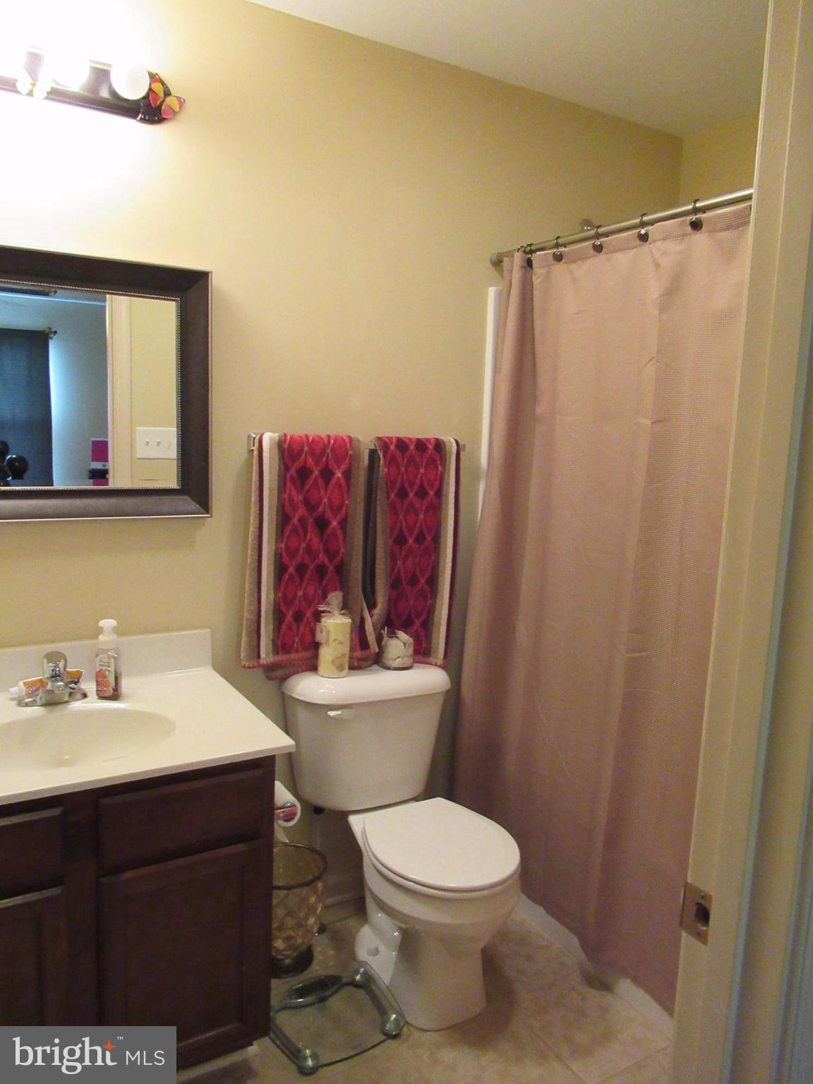 71 Job Inwood, WV 25428 - Photo 11 of 21 Bath (Master)