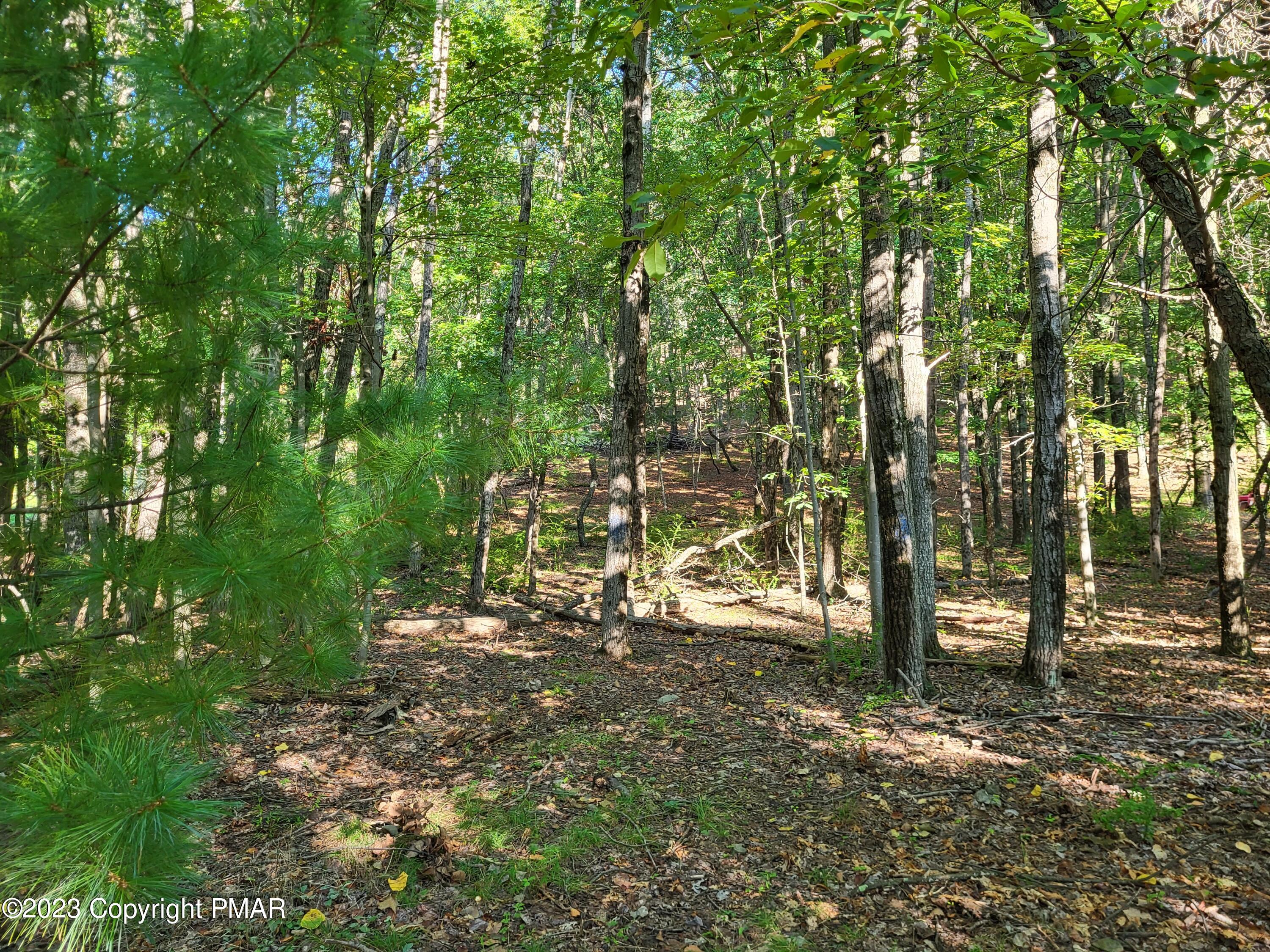 434 Five Springs Road Stroudsburg, PA 18360 - Photo 5 of 7 a view of outdoor space with trees