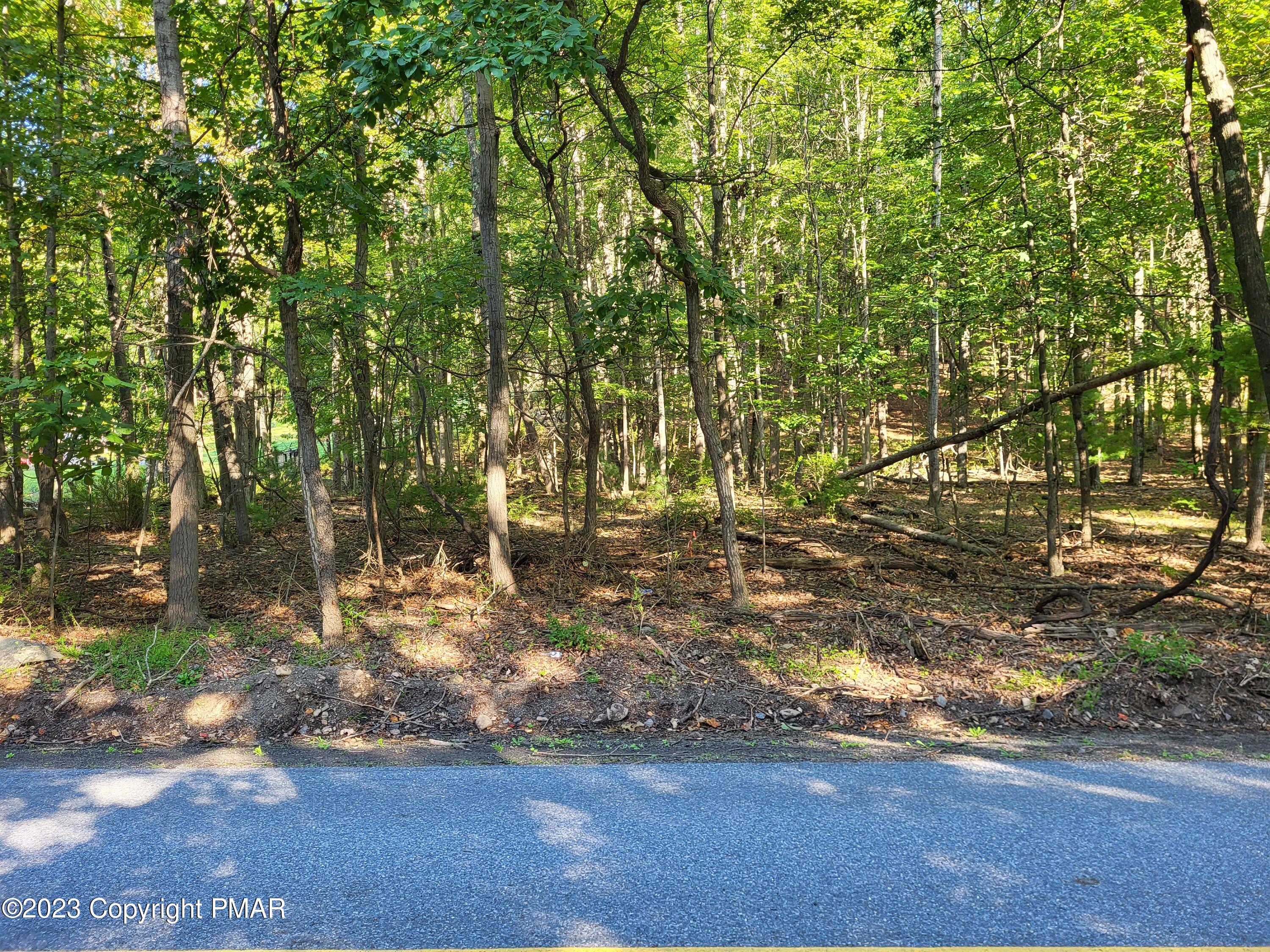 434 Five Springs Road Stroudsburg, PA 18360 - Photo 6 of 7 a view of yard