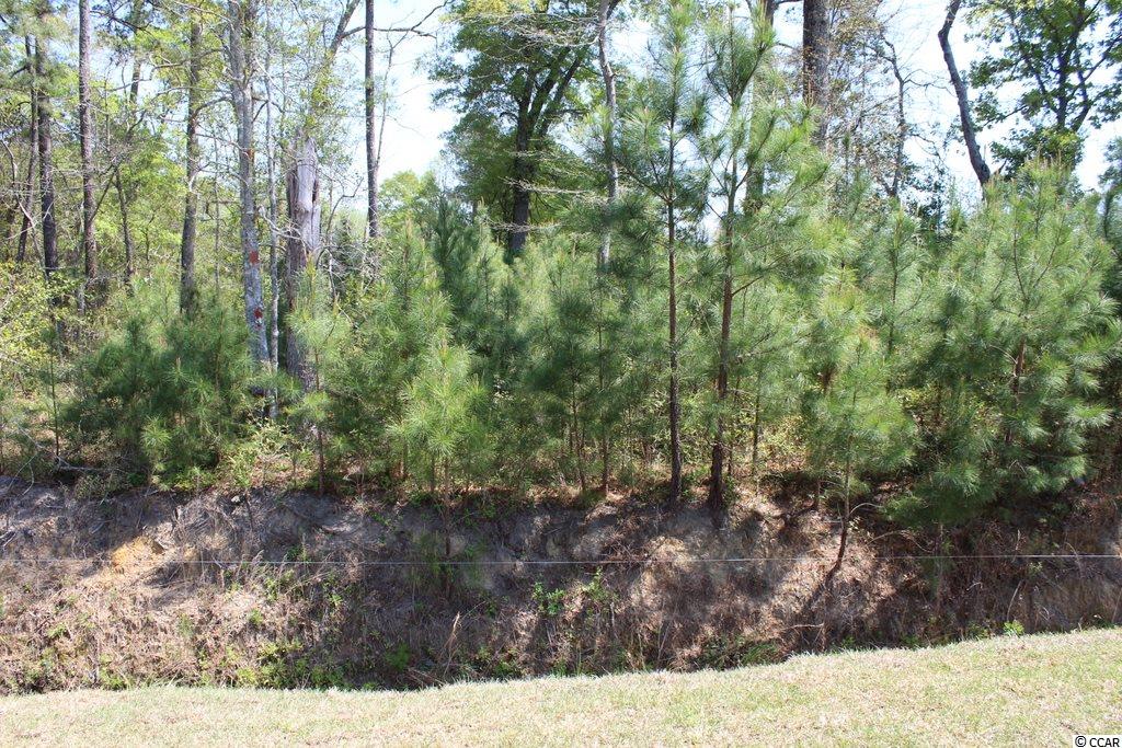 528 Whiddy Loop Conway, SC 29526 - Photo 19 of 31 Gallery Image 19