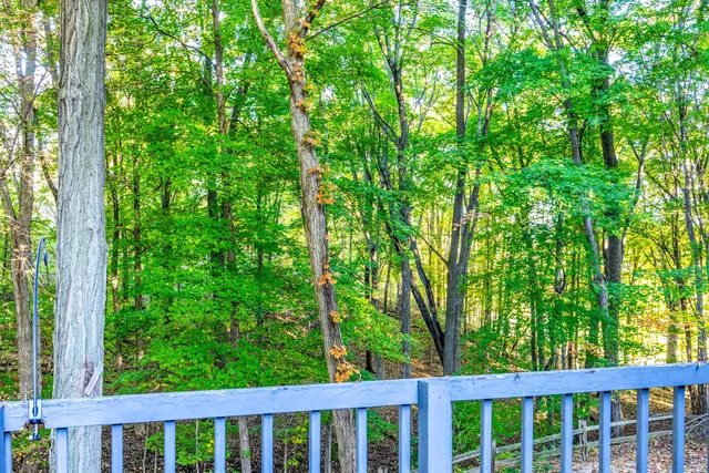 $390,000 | 1686 Herrity Lane, Ionia, MI 48846