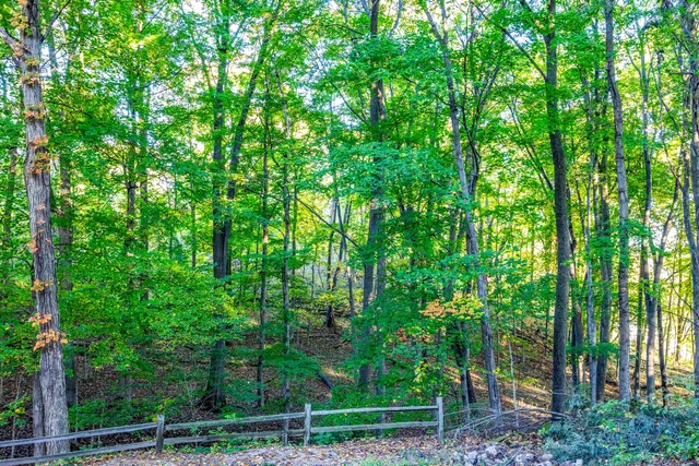 $390,000 | 1686 Herrity Lane, Ionia, MI 48846