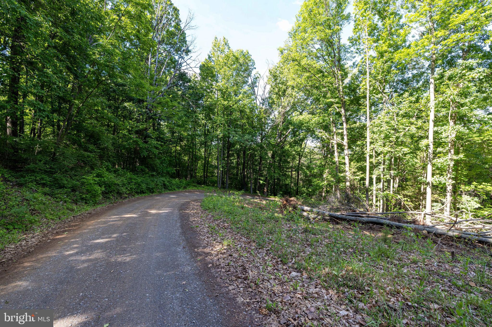 0 Cross Mountain Road Luray, VA 22835 - Photo 39 of 51