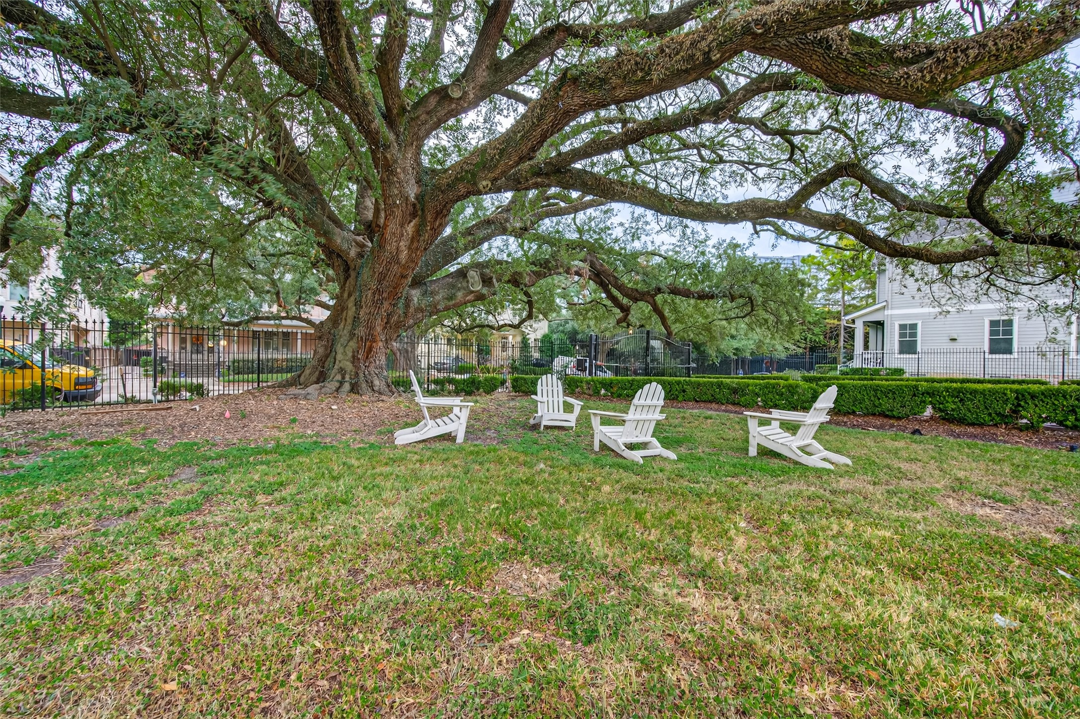 428 Marshall Street Houston, TX 77006 - Photo 36 of 36 a view of a park with bench and a tree