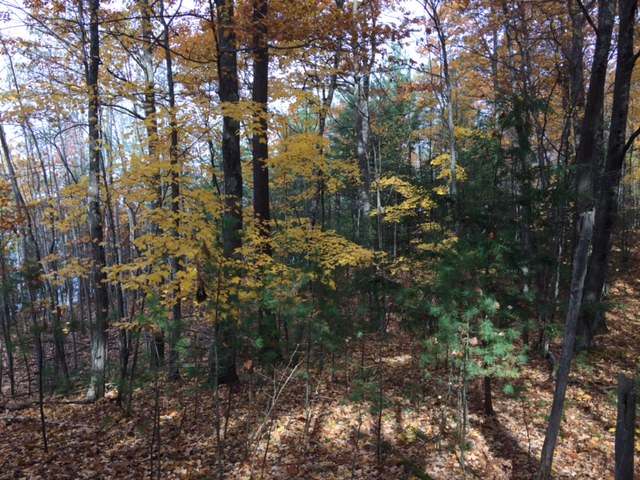 Lot 3 Schroeder Road Minocqua, WI 54548 - Photo 8 of 9 Gallery Image 8
