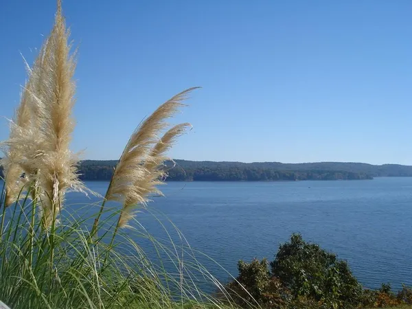 a view of a lake in middle of the house