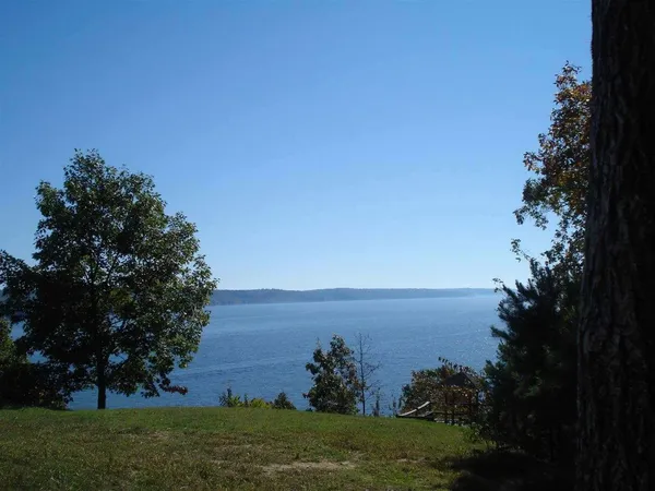 a view of a lake and yard