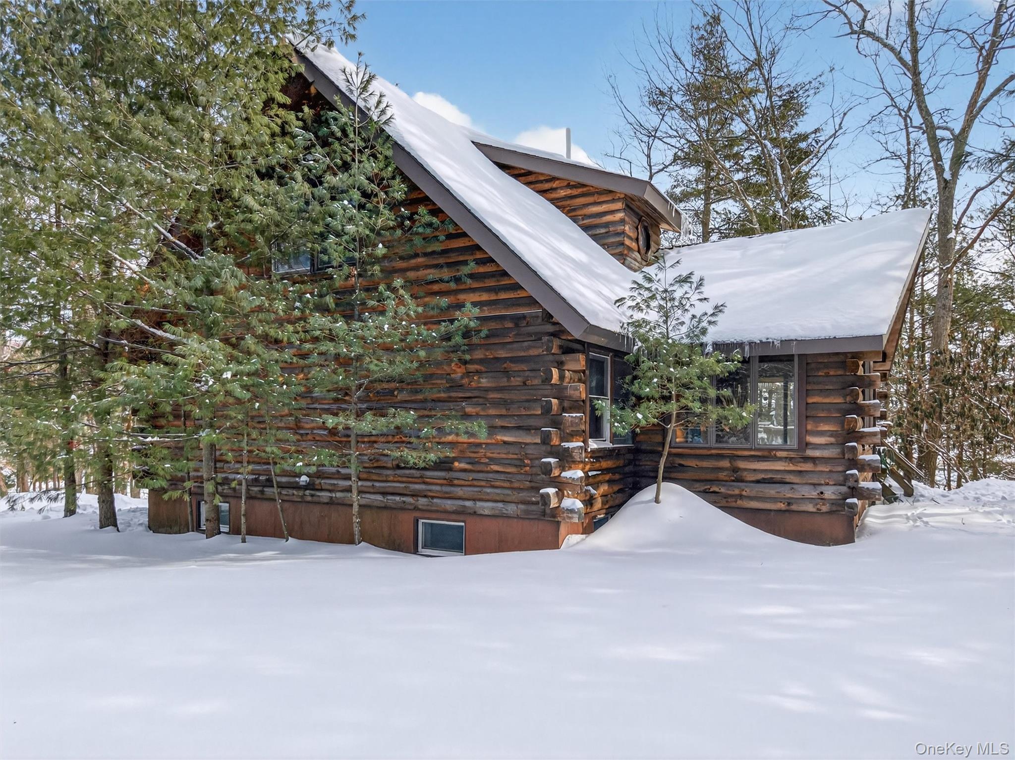 27 Manchester Road Rock Hill, NY 12775 - Photo 6 of 48