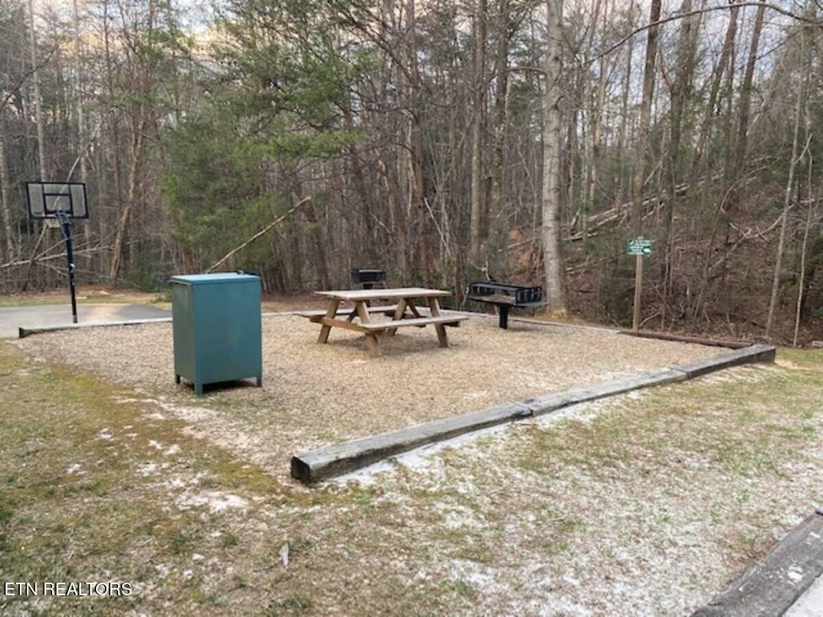 3710 Weber Road, Unit 104E Gatlinburg, TN 37738 - Photo 24 of 42 104E outdoor picnic area