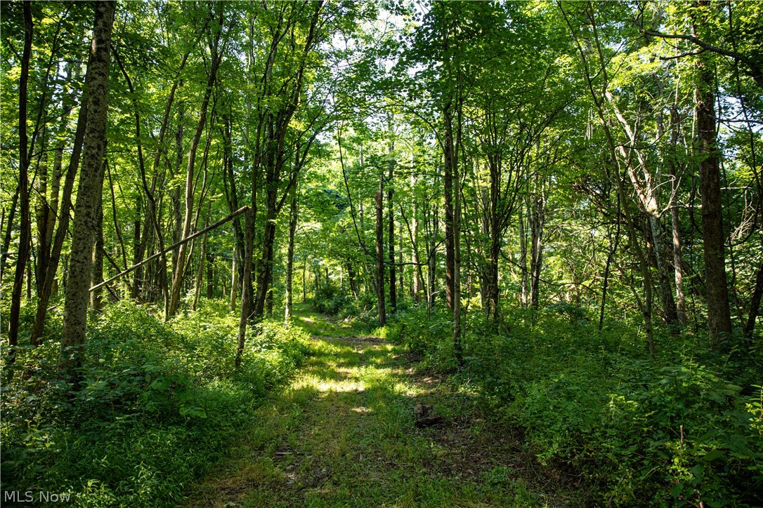 27339 Tabor Ridge Road Caldwell, OH 43724 - Photo 30 of 50