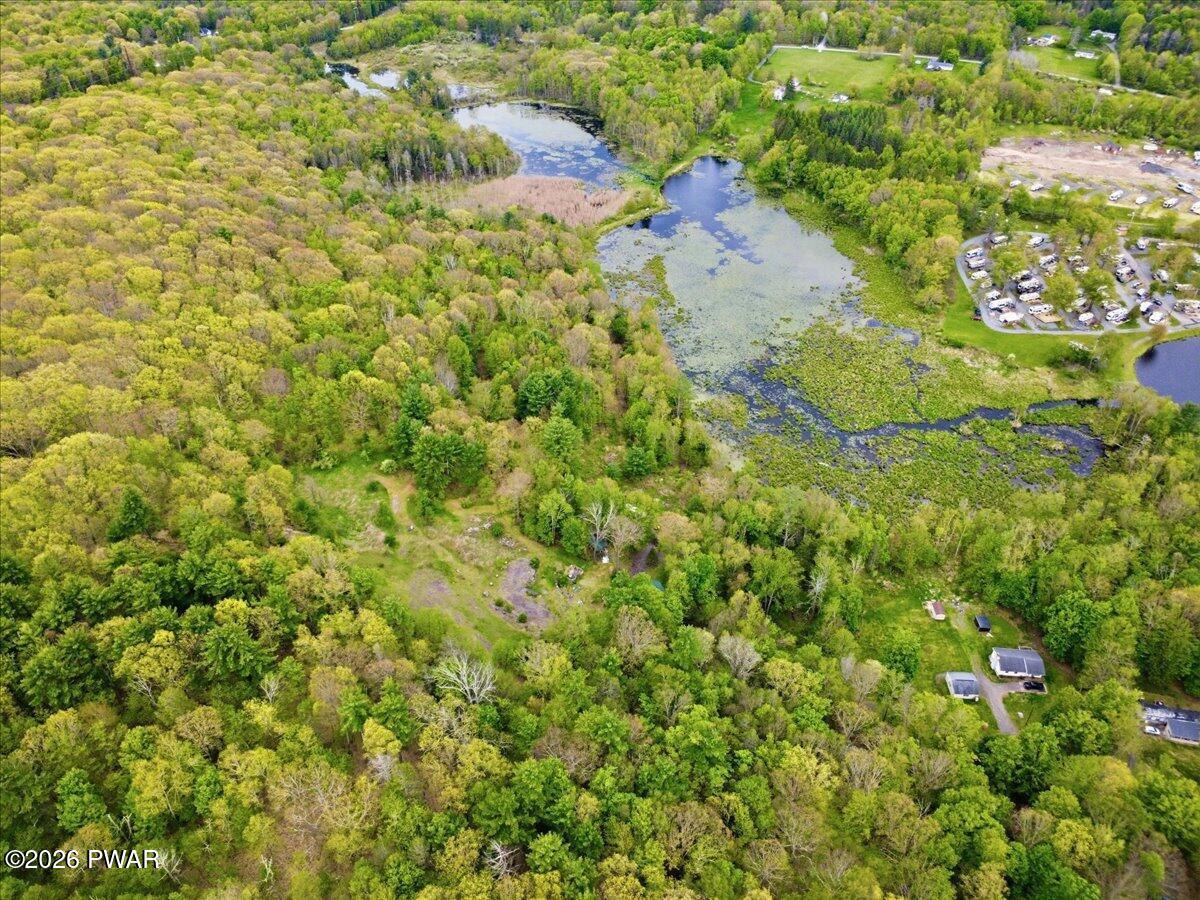 103 Forever Green Road Lakeville, PA 18438 - Photo 133 of 179