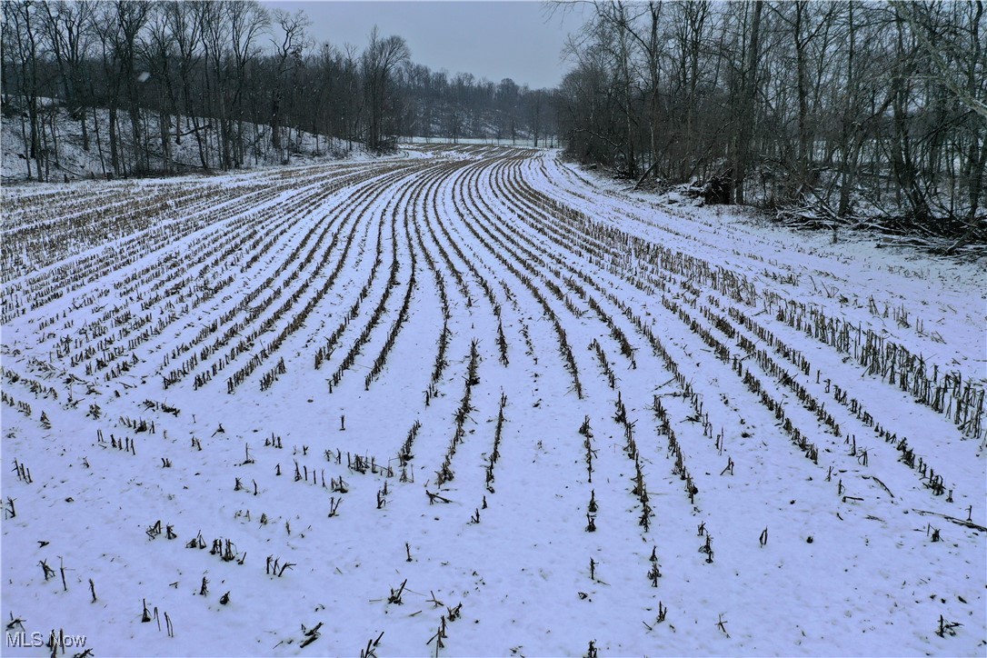 9602 Munson Road Wooster, OH 44691 - Photo 19 of 45 View of road