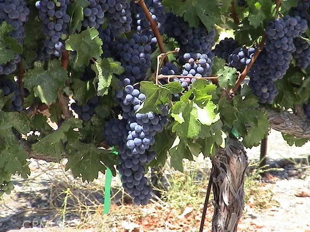 a view of a house with a patio