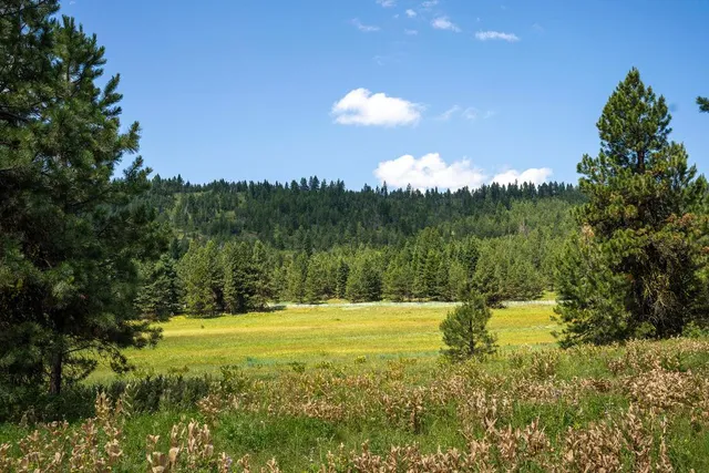 $427,500 | 5609 Lupine Lane, Unit 112, McCall, ID 83638